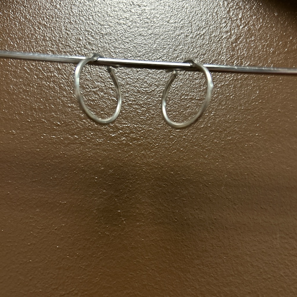 DANA | Stainless Steel Hoops